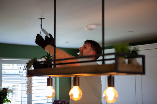 Best Electric Panel Repair  in Brandon, FL