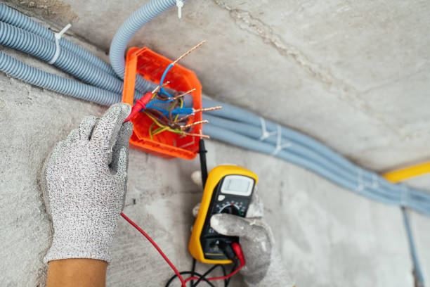 Best Commercial Electrician Services  in Brandon, FL